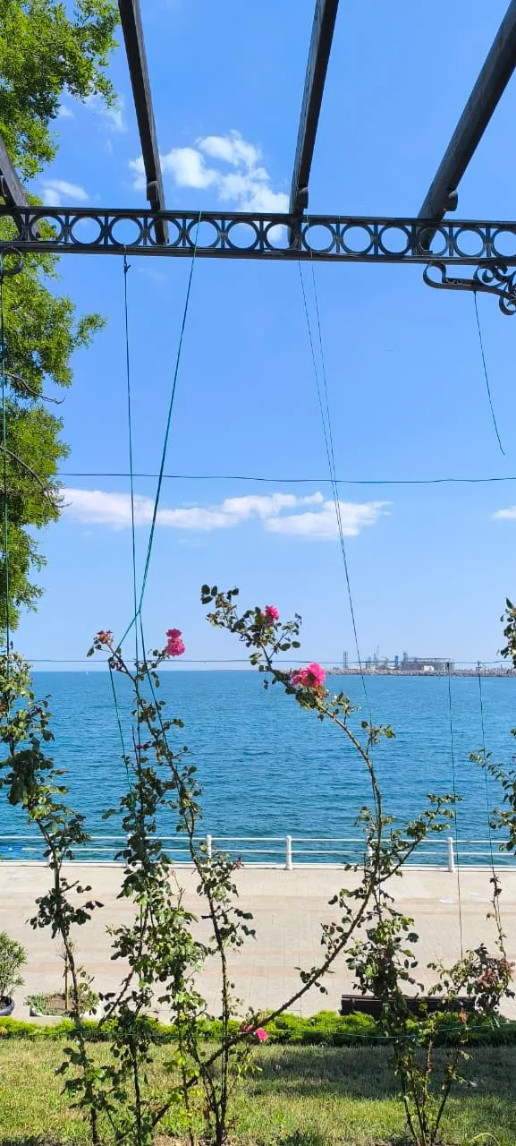 Vedere spre Marea Neagră printr-o pergolă cu flori